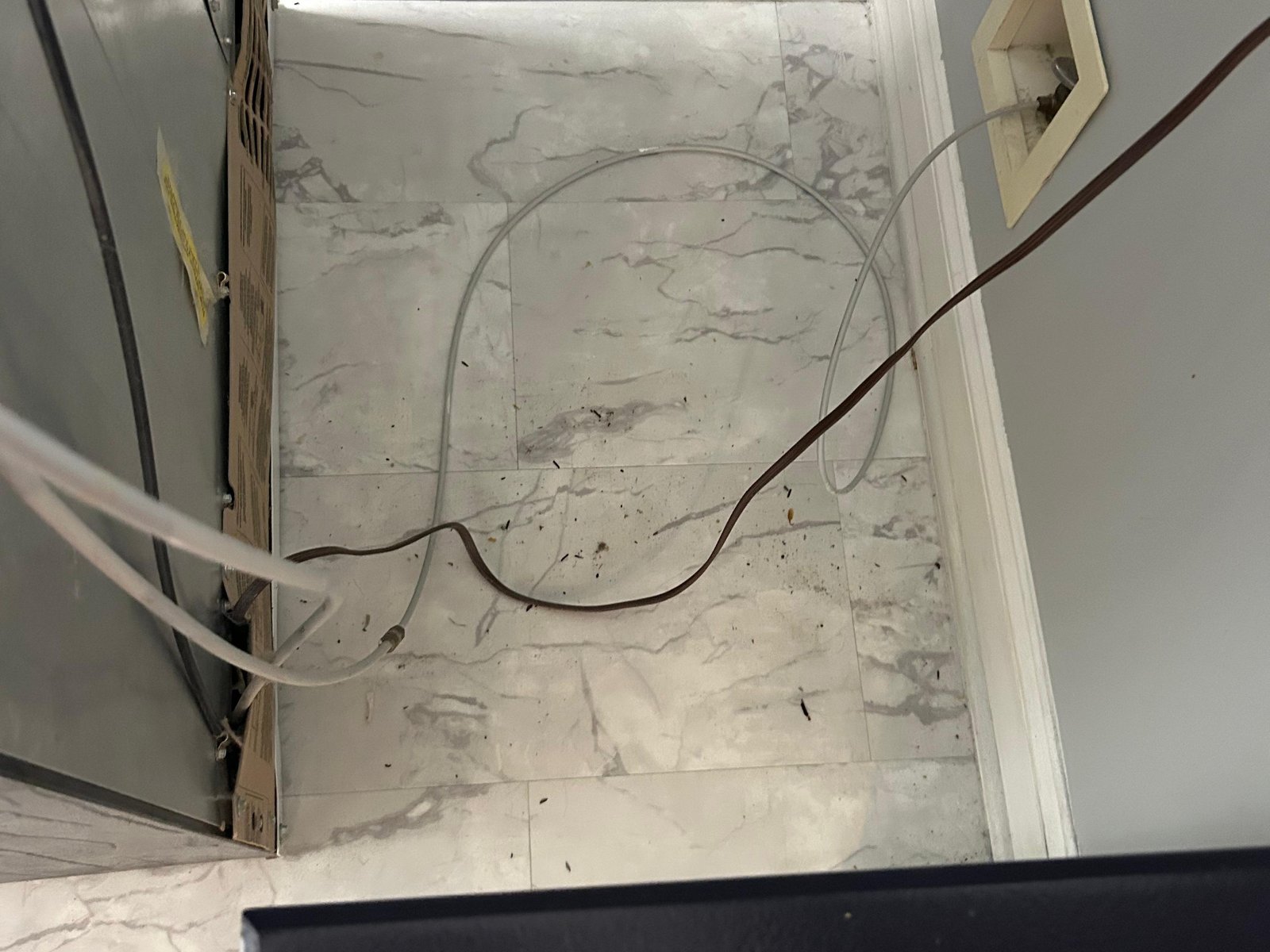 Amezquita Cleaning Llc